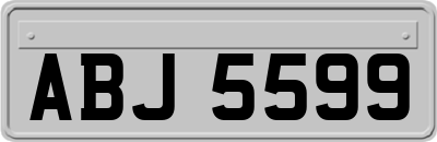 ABJ5599