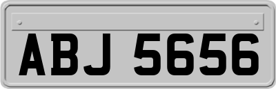 ABJ5656
