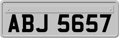ABJ5657