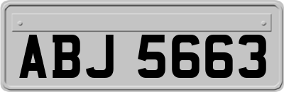 ABJ5663