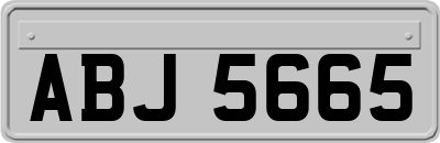 ABJ5665