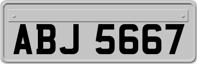 ABJ5667