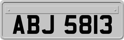 ABJ5813