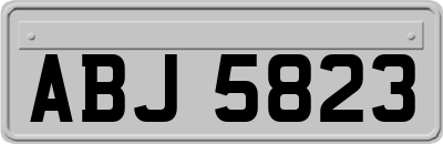 ABJ5823