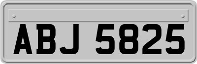 ABJ5825