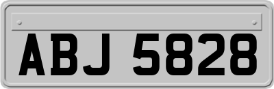 ABJ5828