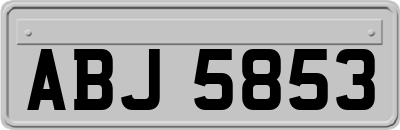 ABJ5853
