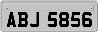 ABJ5856