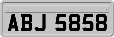 ABJ5858