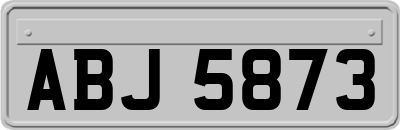 ABJ5873