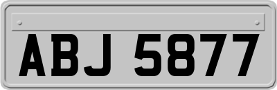 ABJ5877