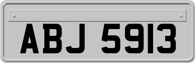 ABJ5913