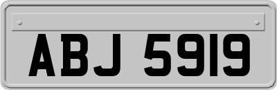 ABJ5919