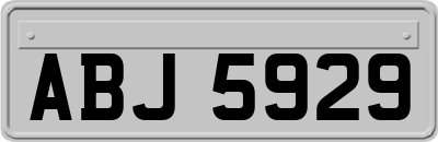 ABJ5929