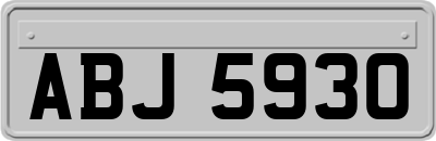ABJ5930