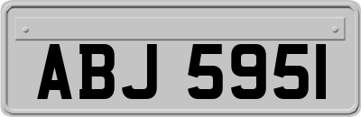ABJ5951