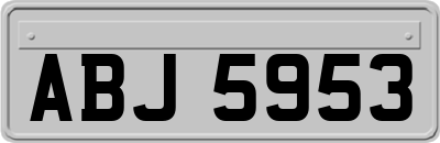 ABJ5953