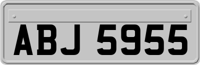 ABJ5955