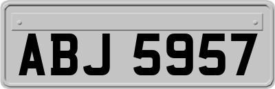 ABJ5957