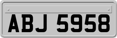 ABJ5958