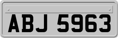 ABJ5963