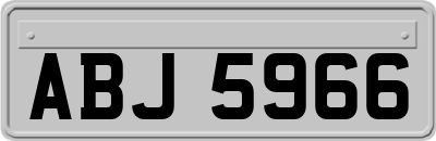 ABJ5966