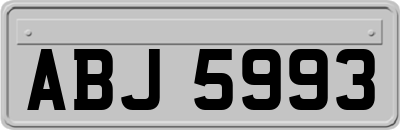 ABJ5993