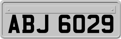 ABJ6029