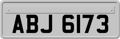 ABJ6173