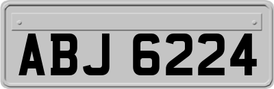 ABJ6224
