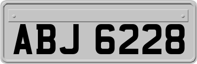ABJ6228
