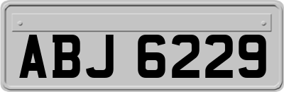 ABJ6229