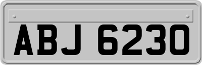 ABJ6230