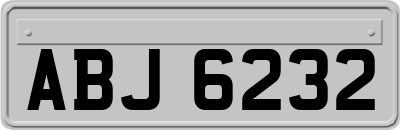 ABJ6232