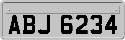 ABJ6234