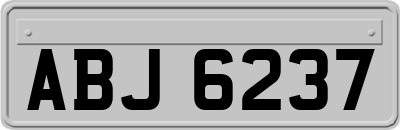 ABJ6237