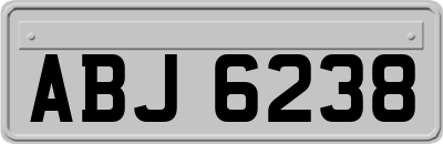 ABJ6238
