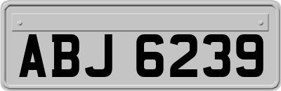 ABJ6239