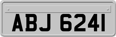 ABJ6241