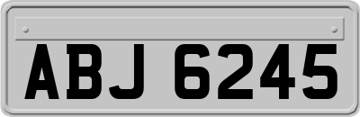 ABJ6245