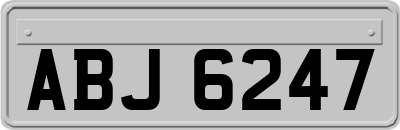 ABJ6247