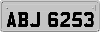 ABJ6253