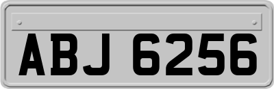 ABJ6256