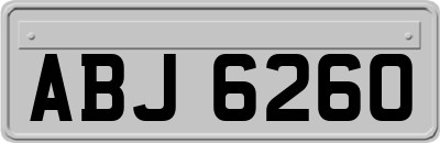 ABJ6260