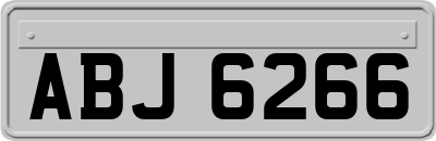 ABJ6266