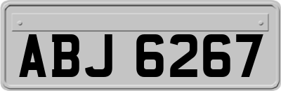 ABJ6267