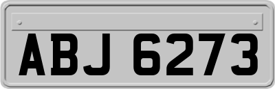 ABJ6273