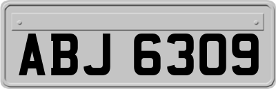 ABJ6309