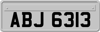 ABJ6313