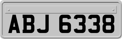 ABJ6338